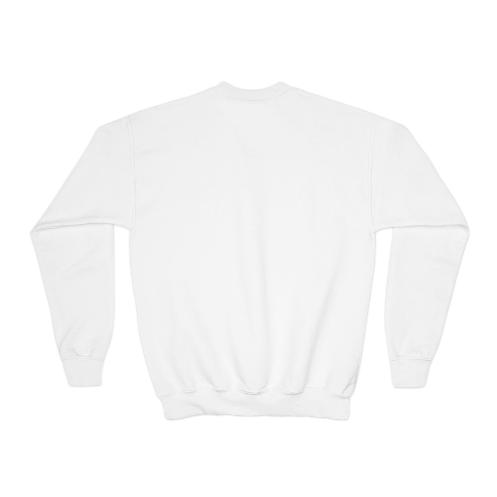 Three Dogs | Youth Sweatshirt