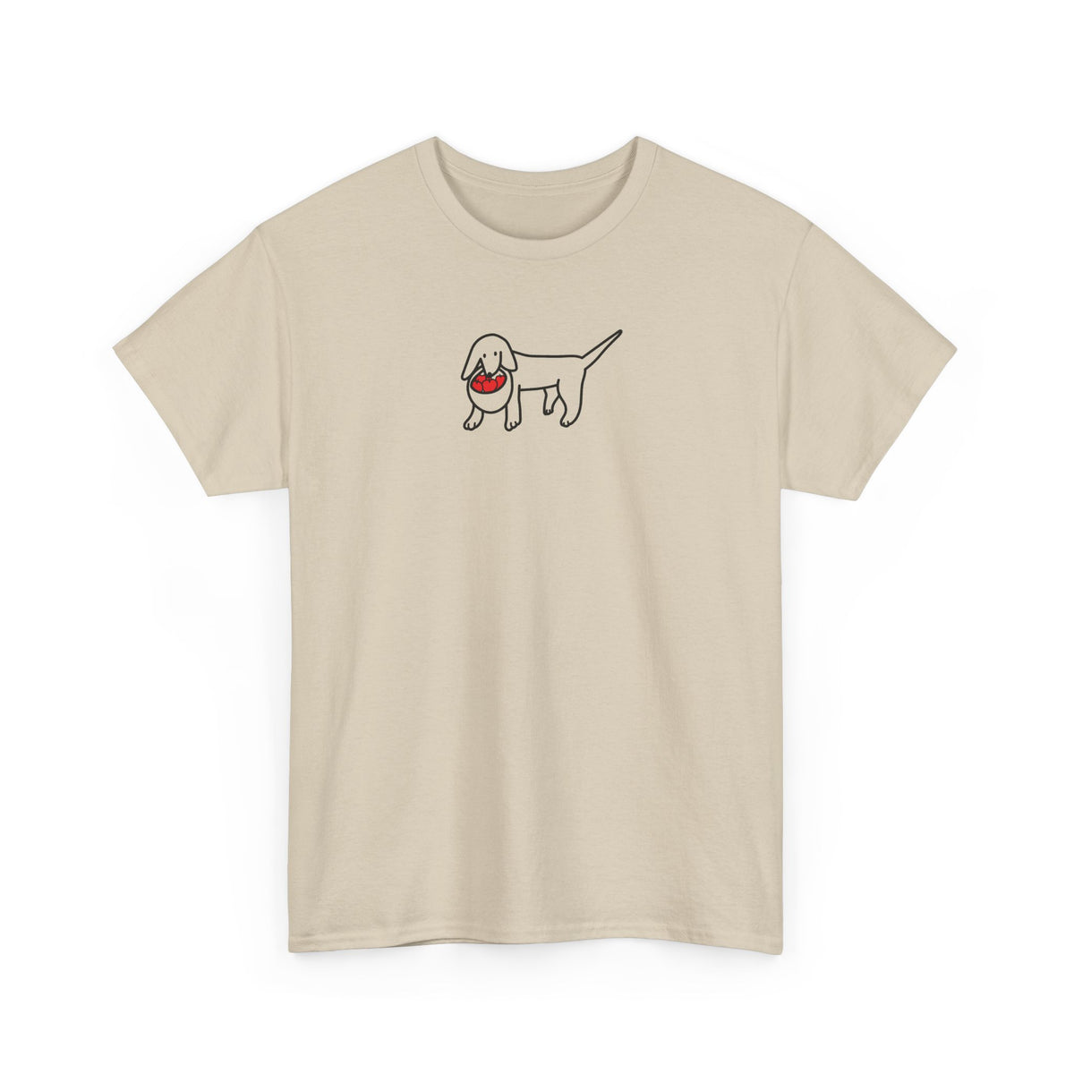 Apple Picking | Soft Cotton Tee | Color Collection | Fall Collection