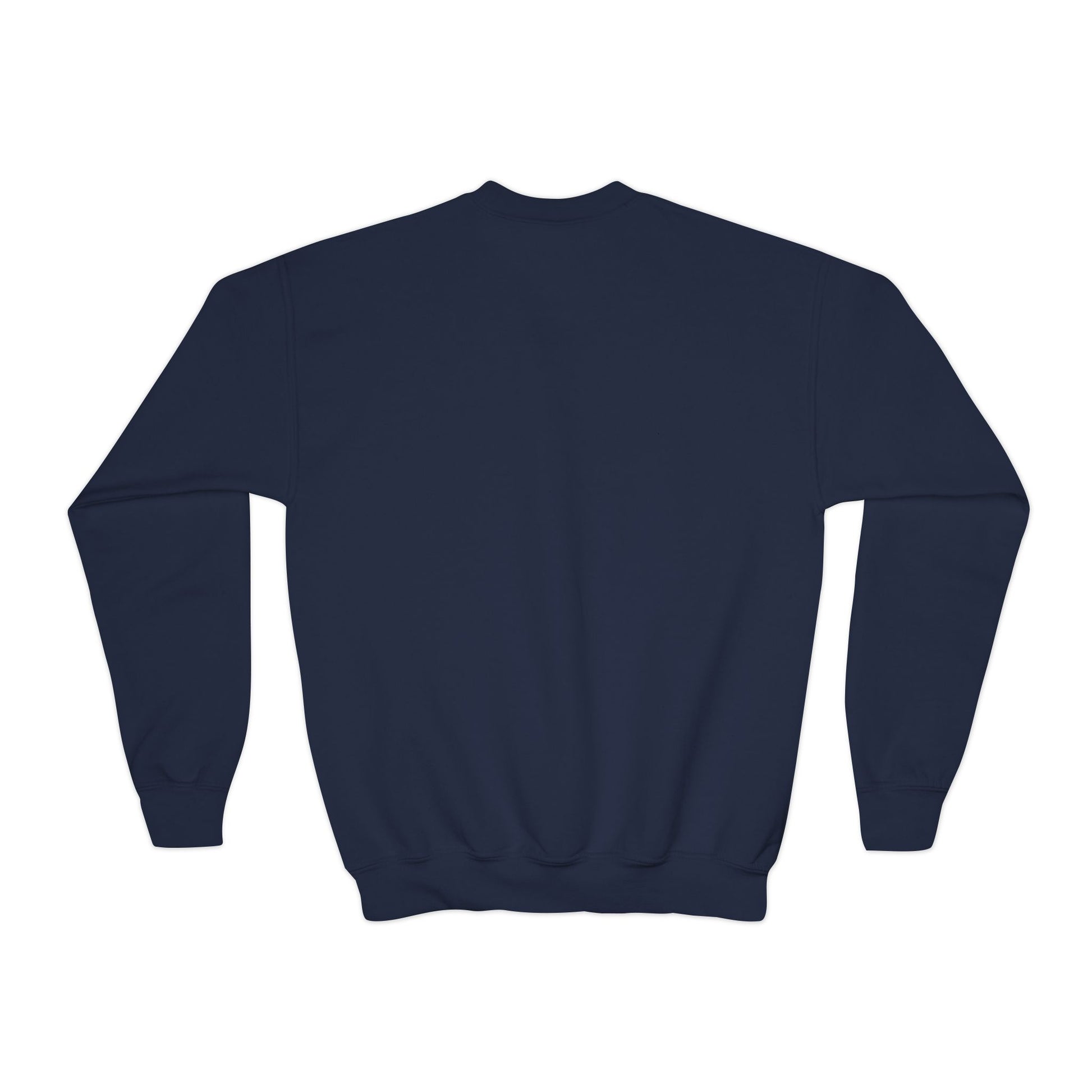 "Sideways Glance" | Youth Sweatshirt
