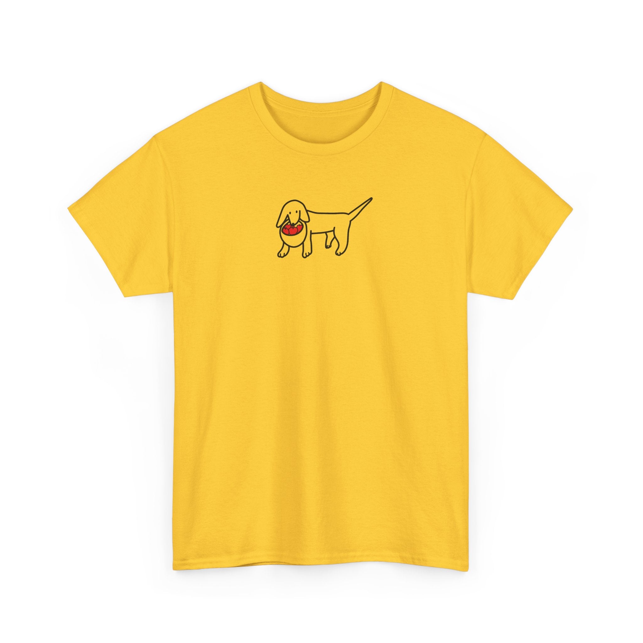 Apple Picking | Soft Cotton Tee | Color Collection | Fall Collection