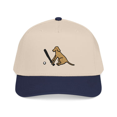 Two-toned Snapback Baseball Cap | Baseball Dog