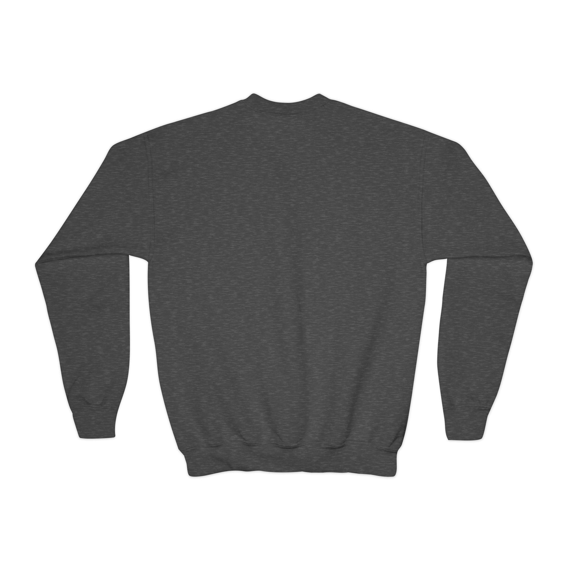 "Sideways Glance" | Youth Sweatshirt