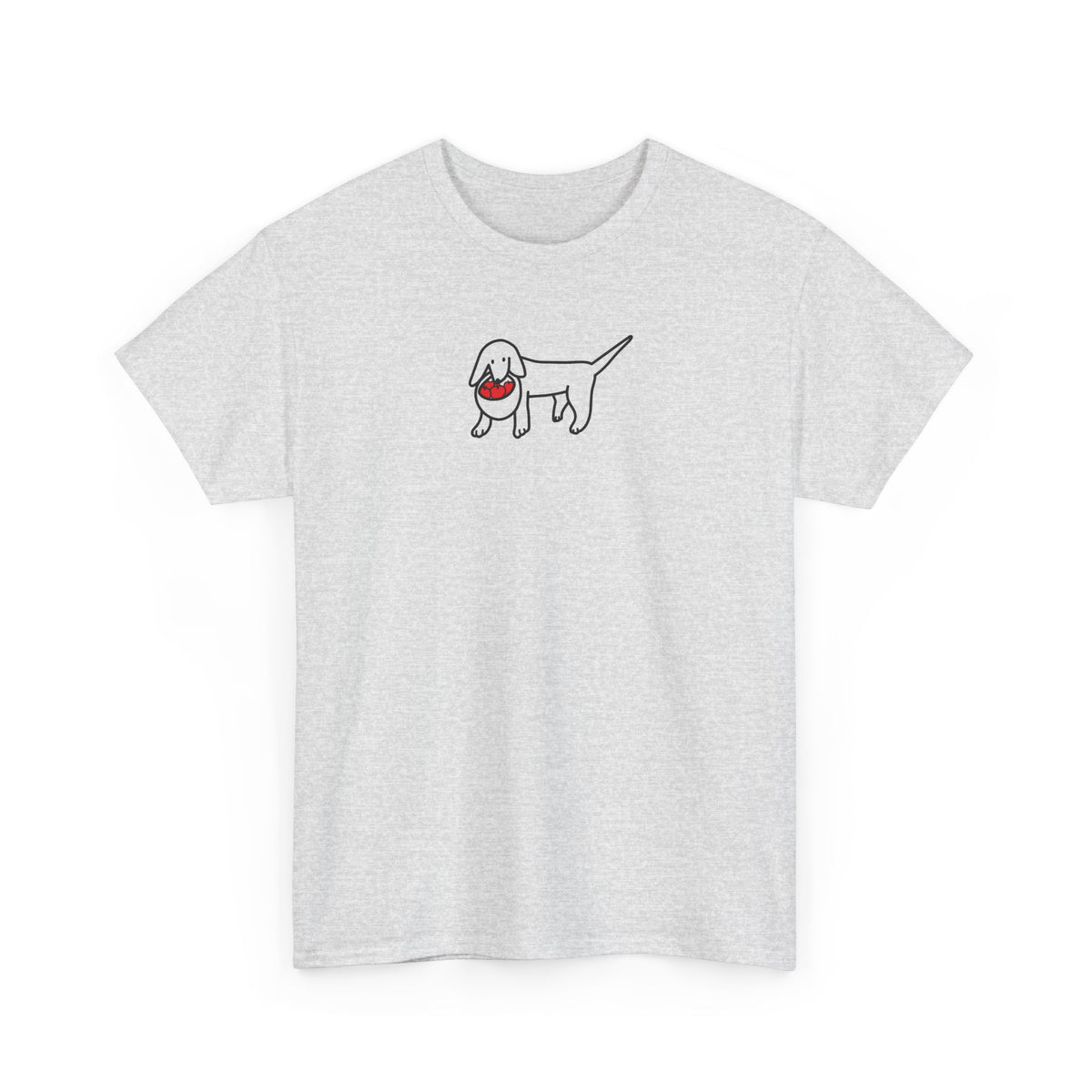 Apple Picking | Soft Cotton Tee | Color Collection | Fall Collection