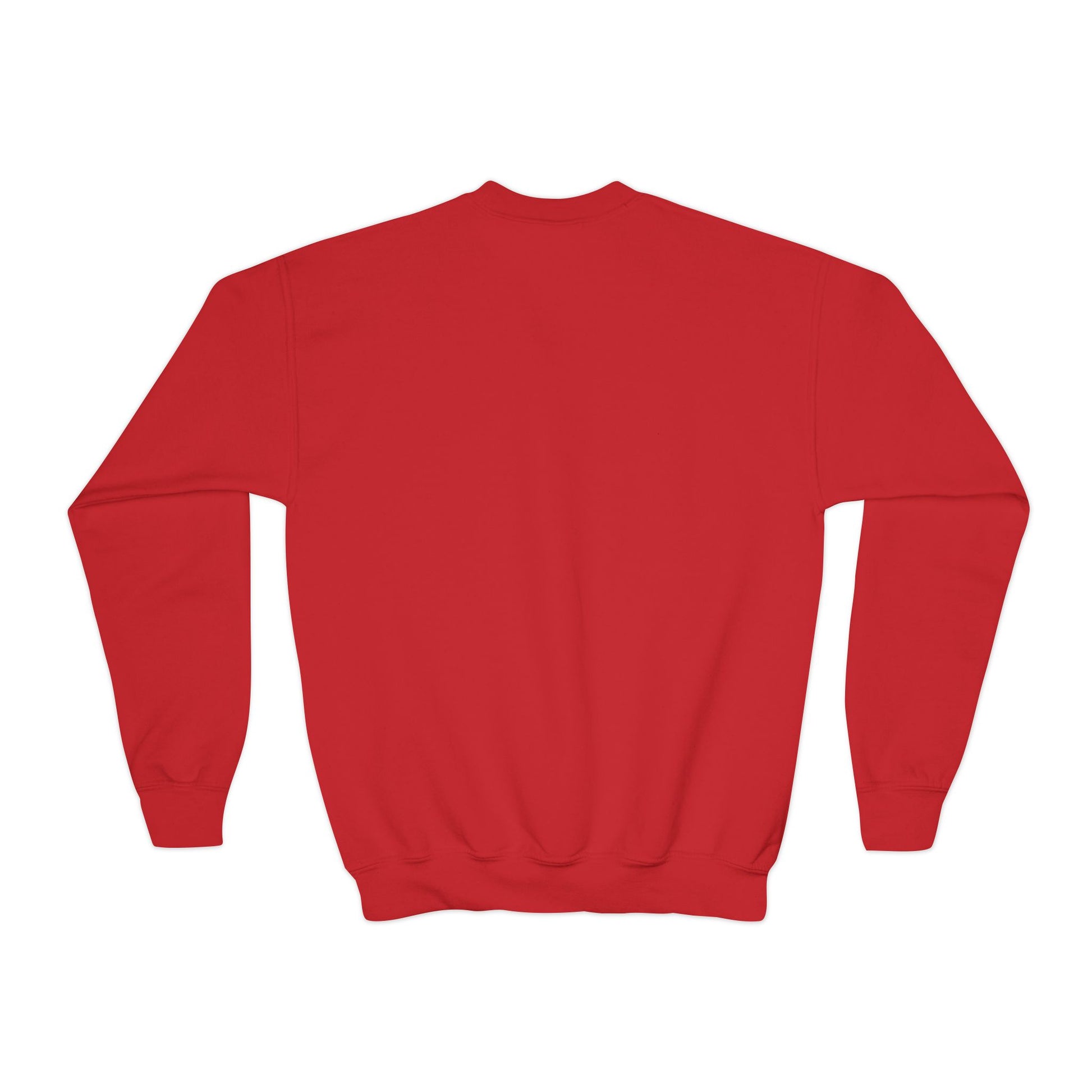 "Sideways Glance" | Youth Sweatshirt