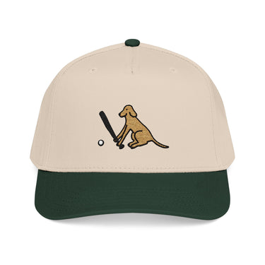 Two-toned Snapback Baseball Cap | Baseball Dog