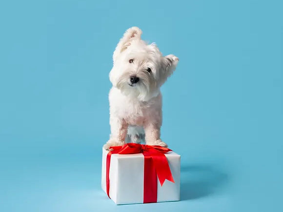 MoreWoof Gift Card