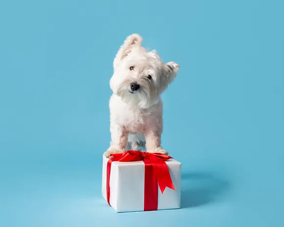 MoreWoof Gift Card