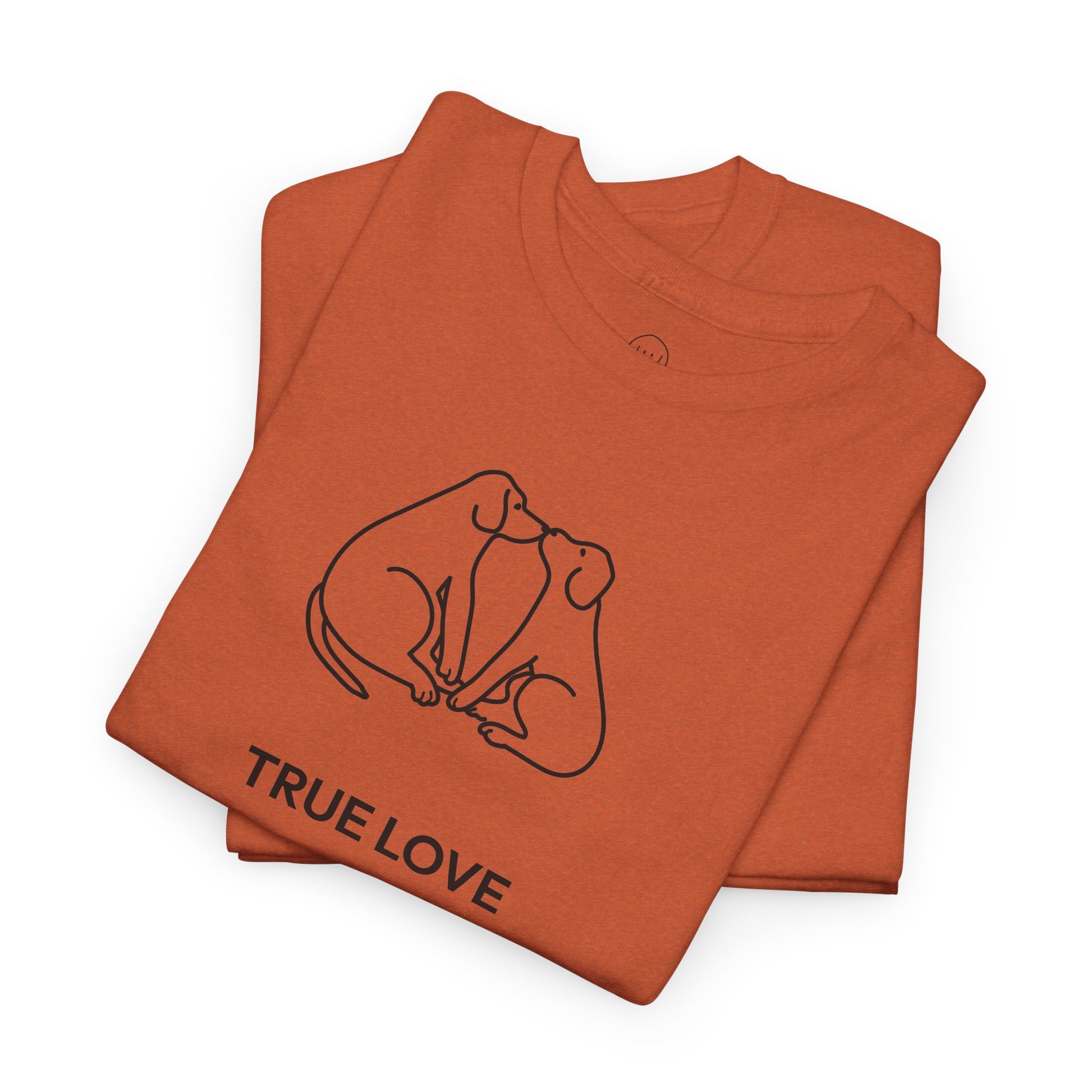 Cat Kisses T-Shirt — Minimal Line Art Cats Graphic Tee