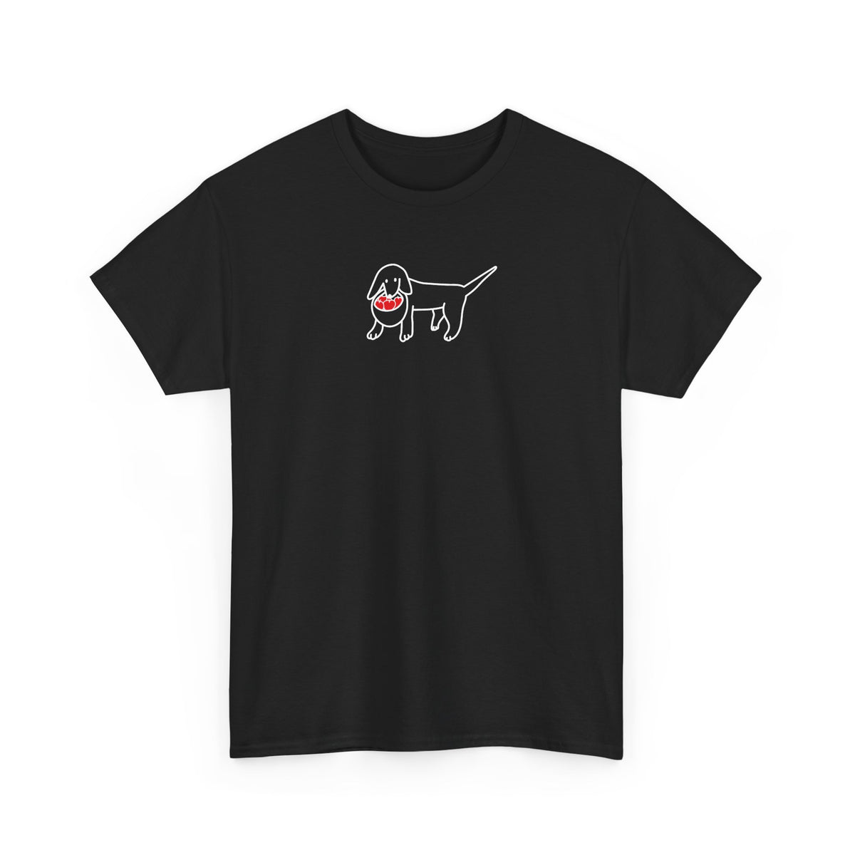 Apple Picking | Soft Cotton Tee | Color Collection | Fall Collection