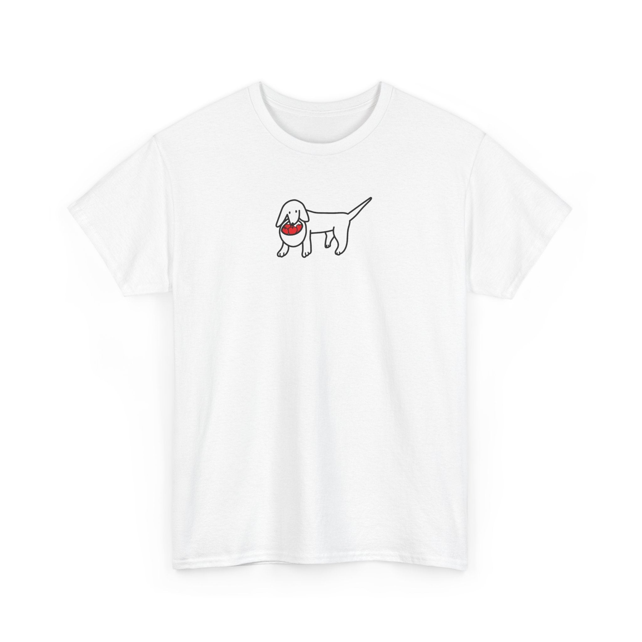 Apple Picking | Soft Cotton Tee | Color Collection | Fall Collection