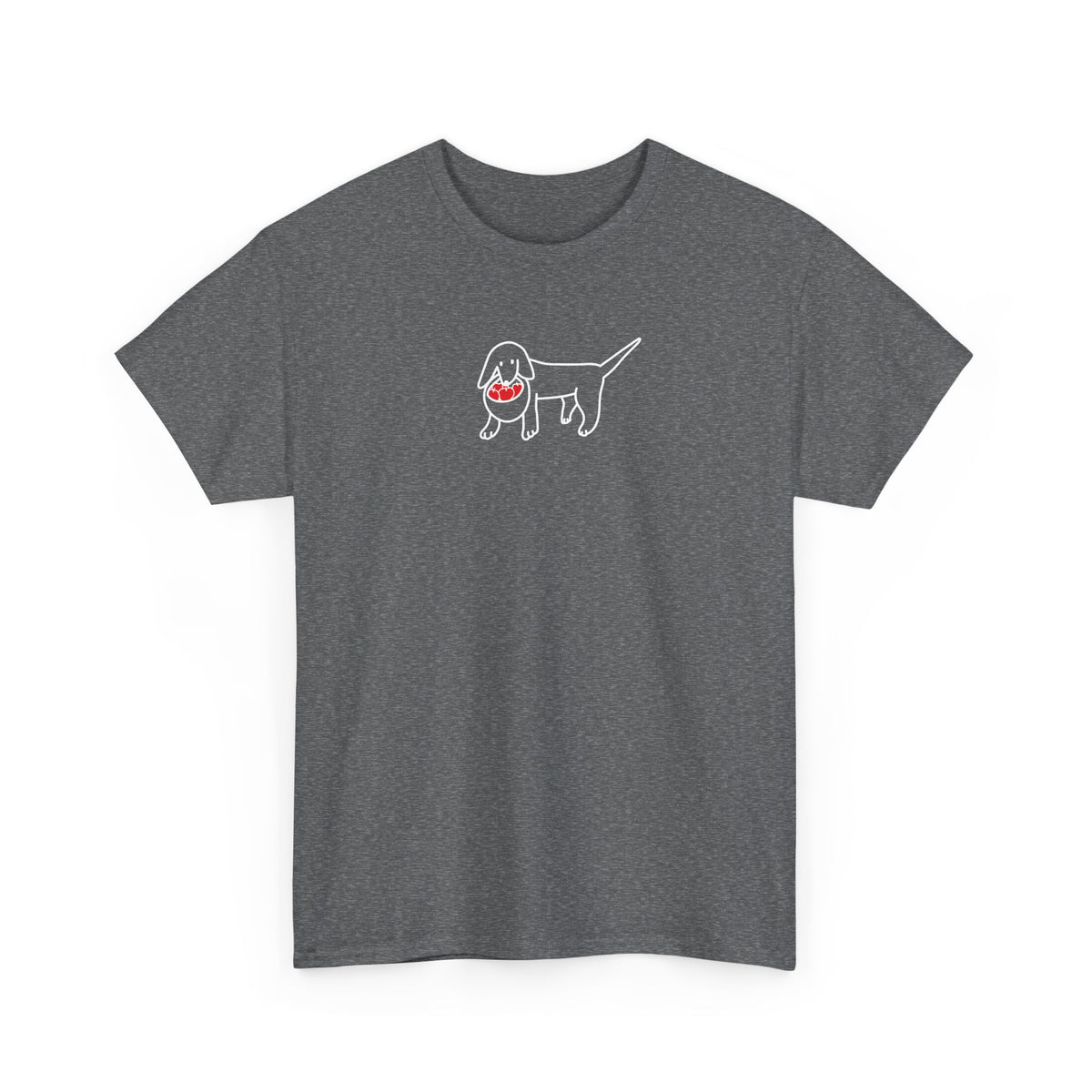 Apple Picking | Soft Cotton Tee | Color Collection | Fall Collection