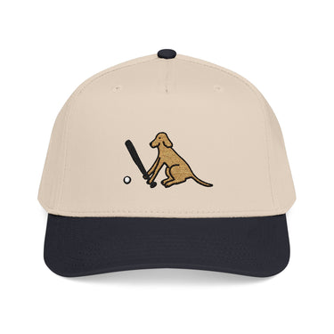 Two-toned Snapback Baseball Cap | Baseball Dog