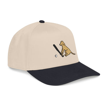 Two-toned Snapback Baseball Cap | Baseball Dog