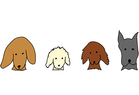 Fall For Dogs