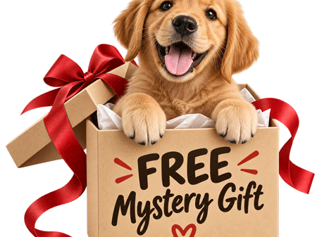 Free Mystery Gift