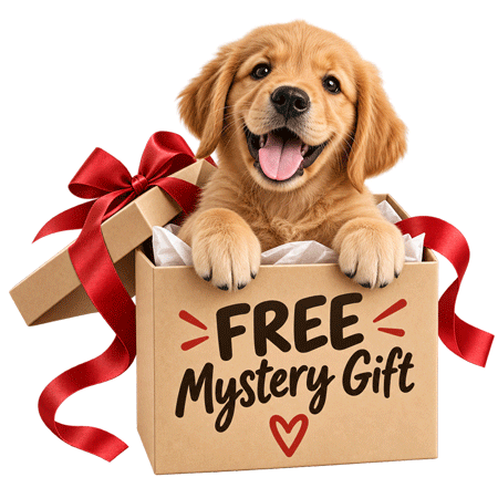 Free Mystery Gift