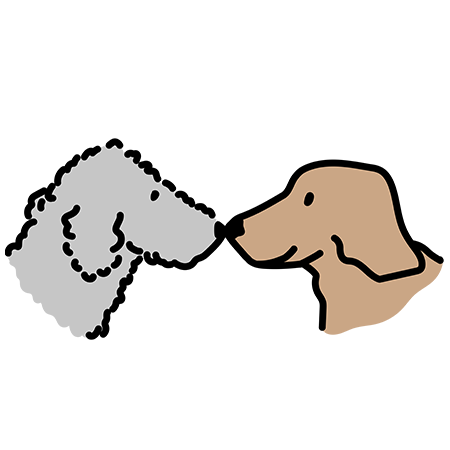 Dogs Don't Discriminate